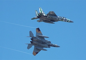 迷彩柄に塗装された2機のF-15