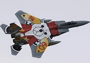 シロクマのマークが書かれた特別塗装のF-15