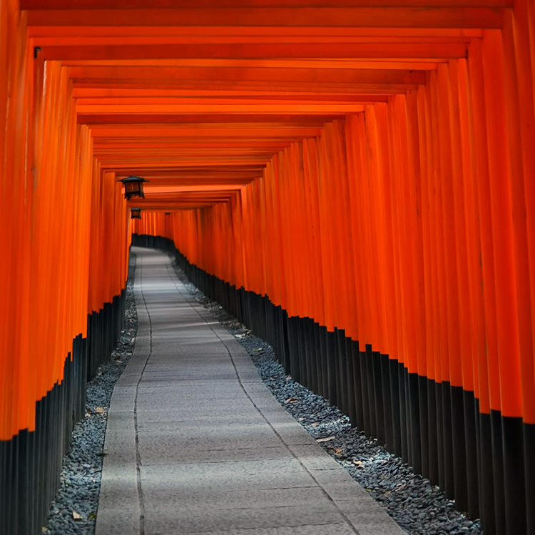 京都の見どころ：美しい京都は伏見・山科エリアに