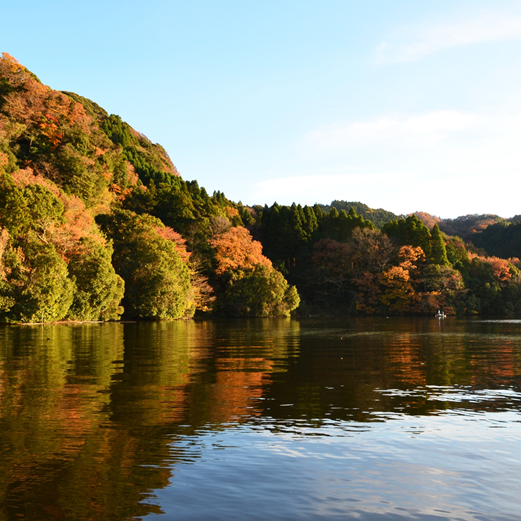 千葉の見どころ：亀山湖（亀山ダム）周辺で自然に癒される