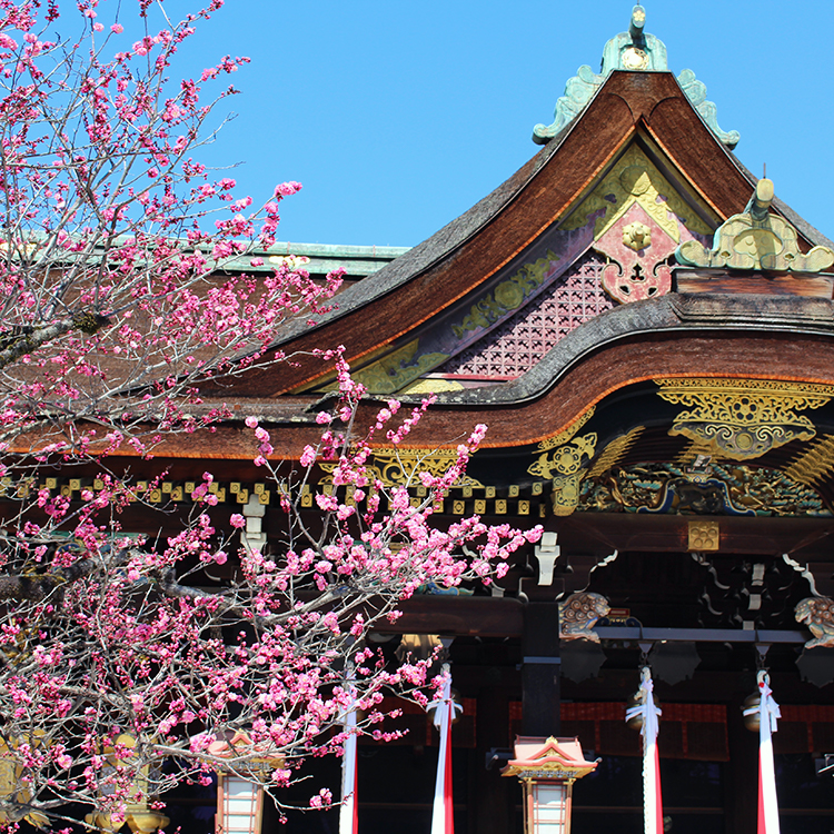京都の見どころ：古都、京都御所・西陣・北野エリア