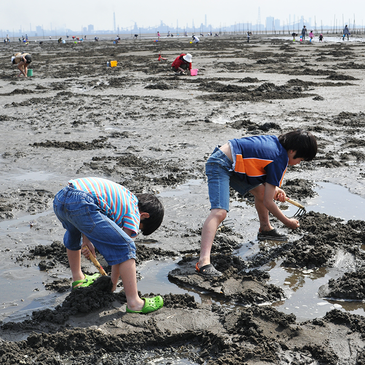 千葉の見どころ：木更津は「潮干狩りのメッカ」として有名