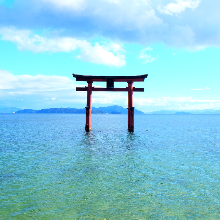 滋賀の見どころ：琵琶湖に佇む大鳥居、白鬚神社へ