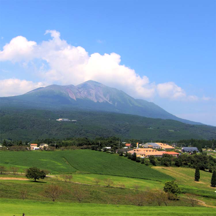 宮崎の見どころ：心躍る体験ができる高千穂牧場