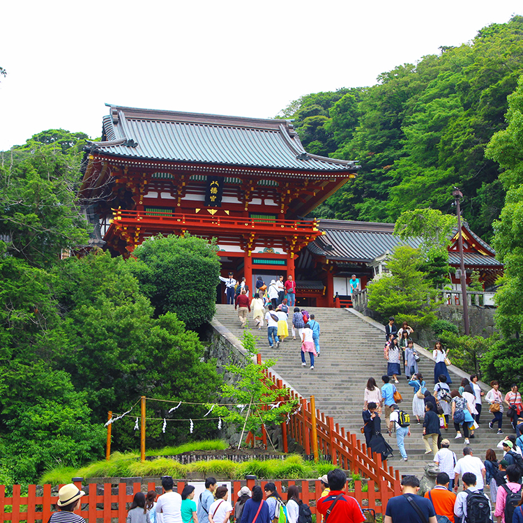 神奈川の見どころ：古都・鎌倉観光は鶴岡八幡宮から