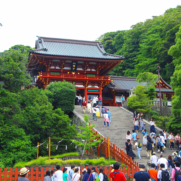 神奈川の見どころ：古都・鎌倉観光は鶴岡八幡宮から