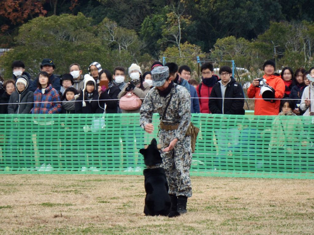 撮影者：ヤナセ ヒデキさん